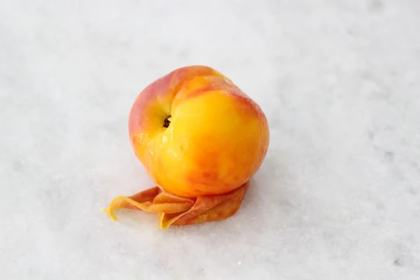 Peach Hand Pies-1-31