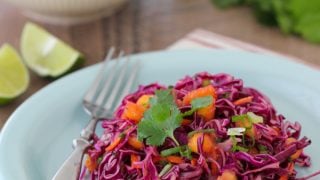 Tropical Slaw Olga S Flavor Factory