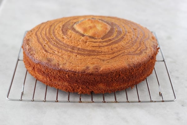 Zebra Cake-1-14 copy