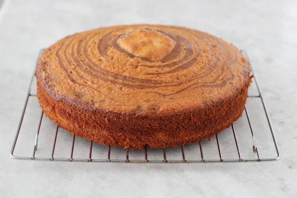 Zebra Cake-1-14 copy
