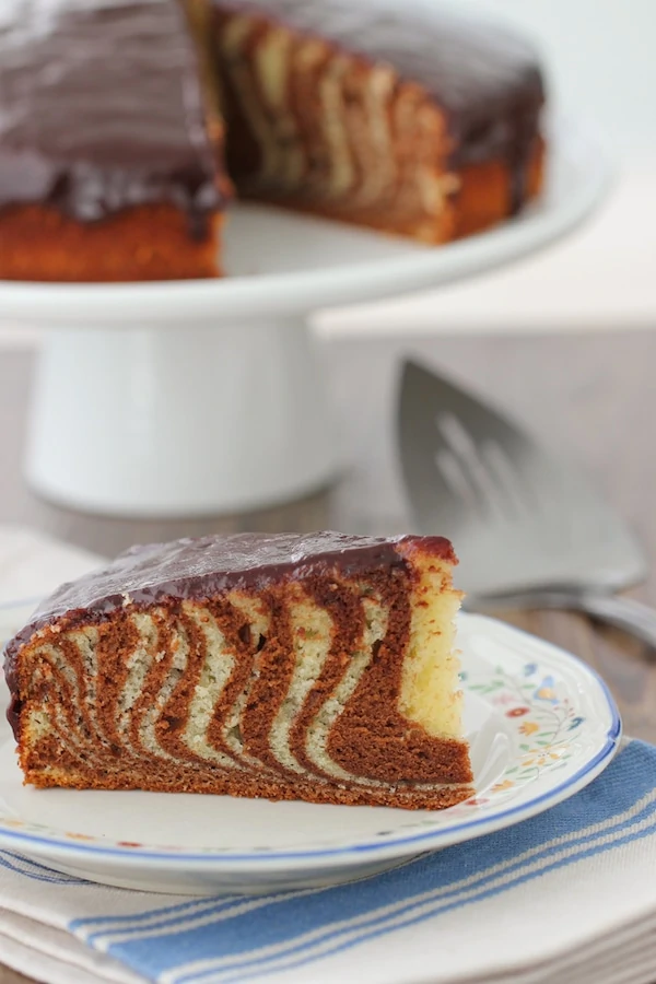 Zebra Cake-1-21 copy
