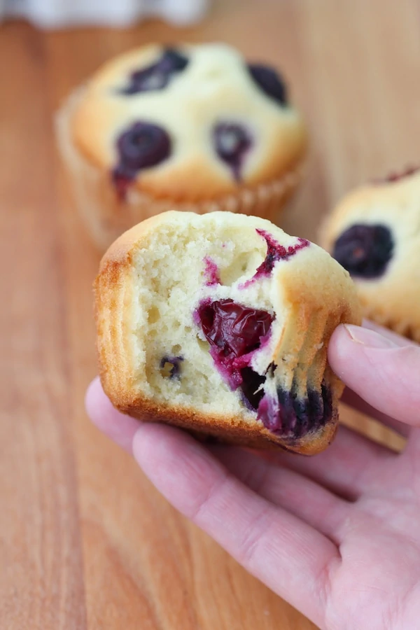 Tender Blueberry Muffins
