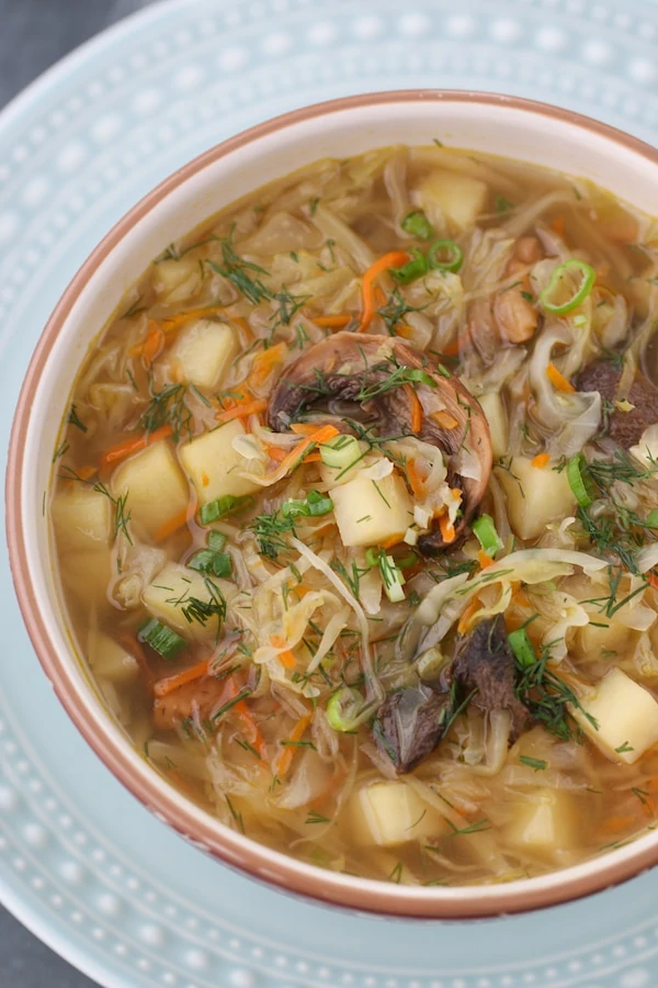 Closeup shot of a bowl of Cabbage and Sauerkraut Soup with mushrooms, Russian Shchi