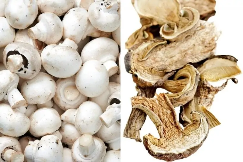 fresh and dry mushrooms for beef stroganoff