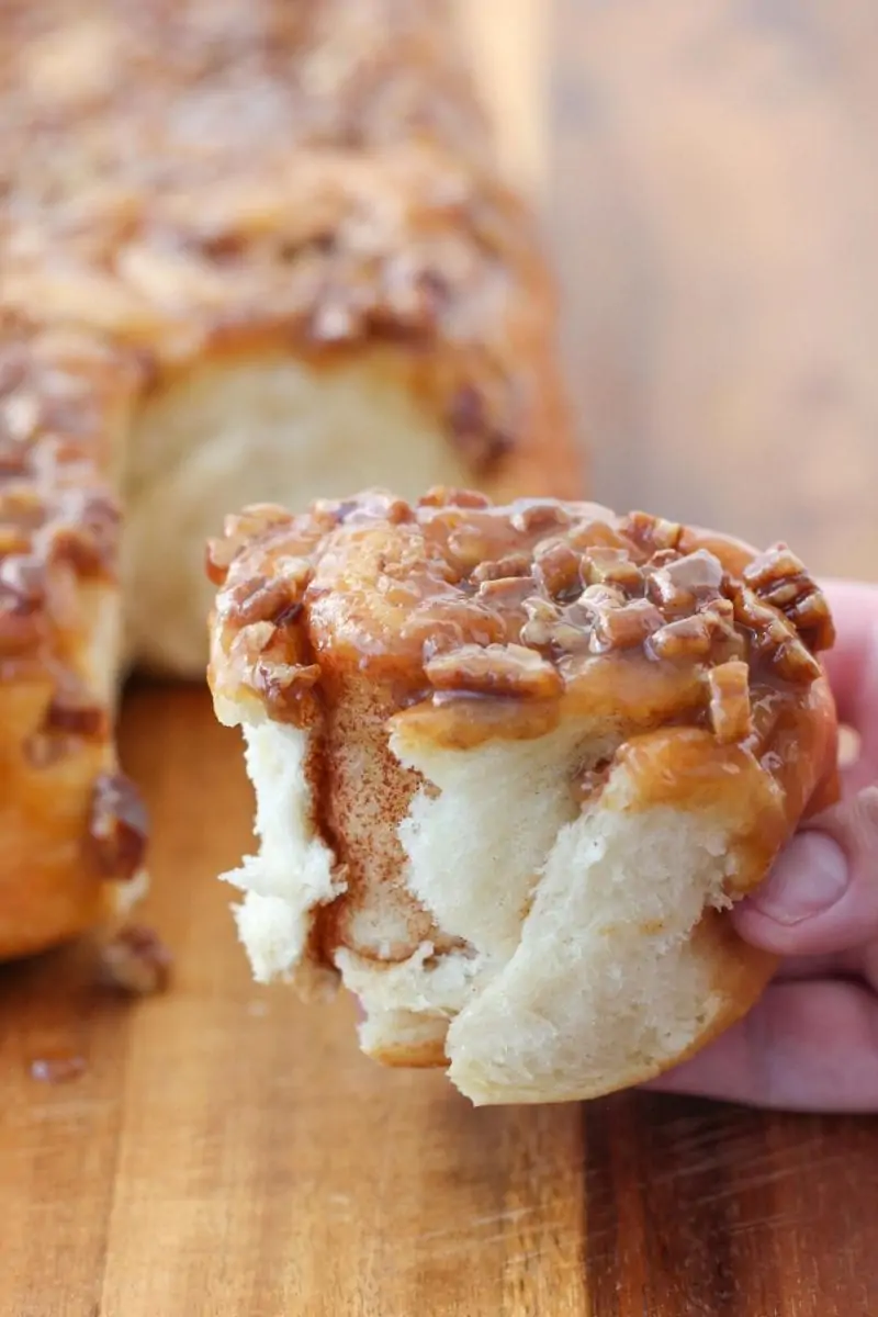 Pecan Sticky Buns with a sweet cinnamon filling a gooey caramel topping and crunchy pecans. 