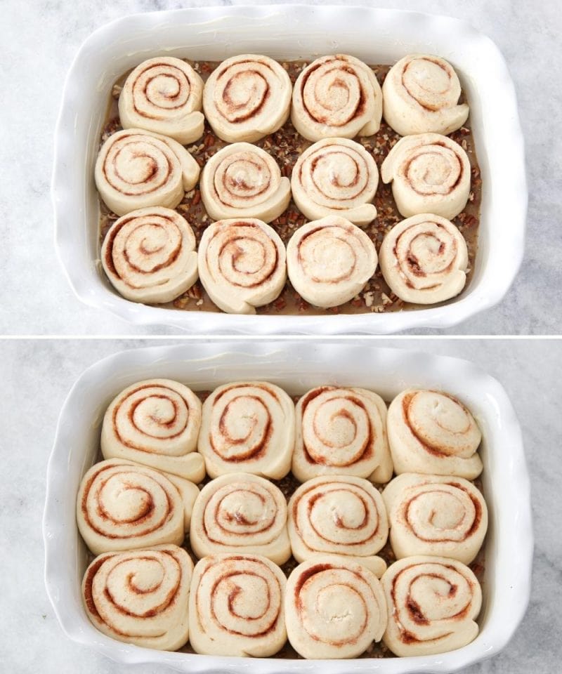 Pecan Cinnamon Sticky Buns before and after rising. 