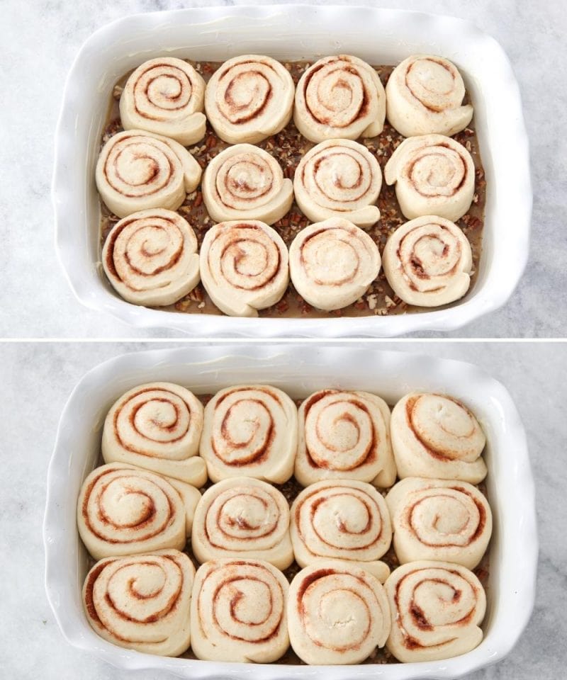 Pecan Cinnamon Sticky Buns before and after rising. 