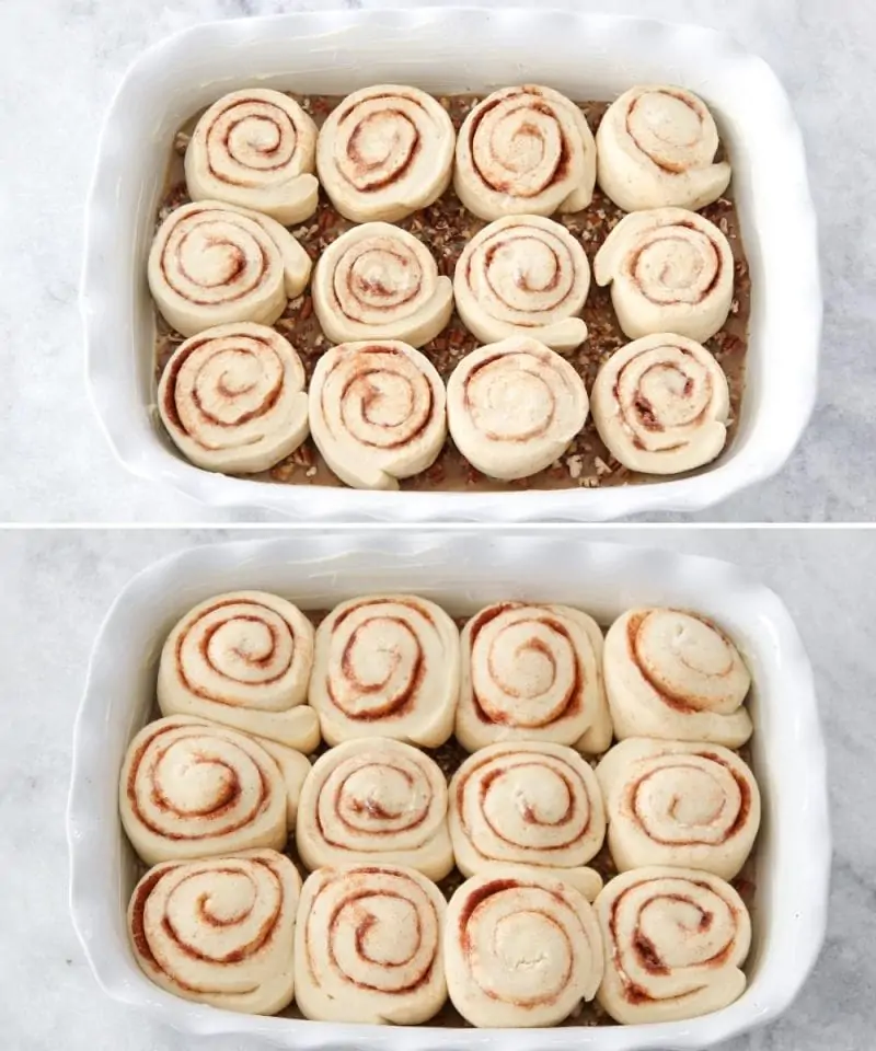 Pecan Cinnamon Sticky Buns before and after rising. 