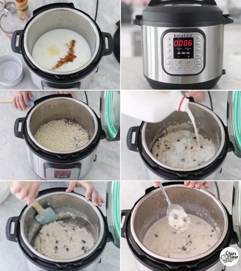 https://www.olgasflavorfactory.com/wp-content/uploads/2022/06/How-to-make-rice-pudding-in-the-Instant-Pot-800x900.webp