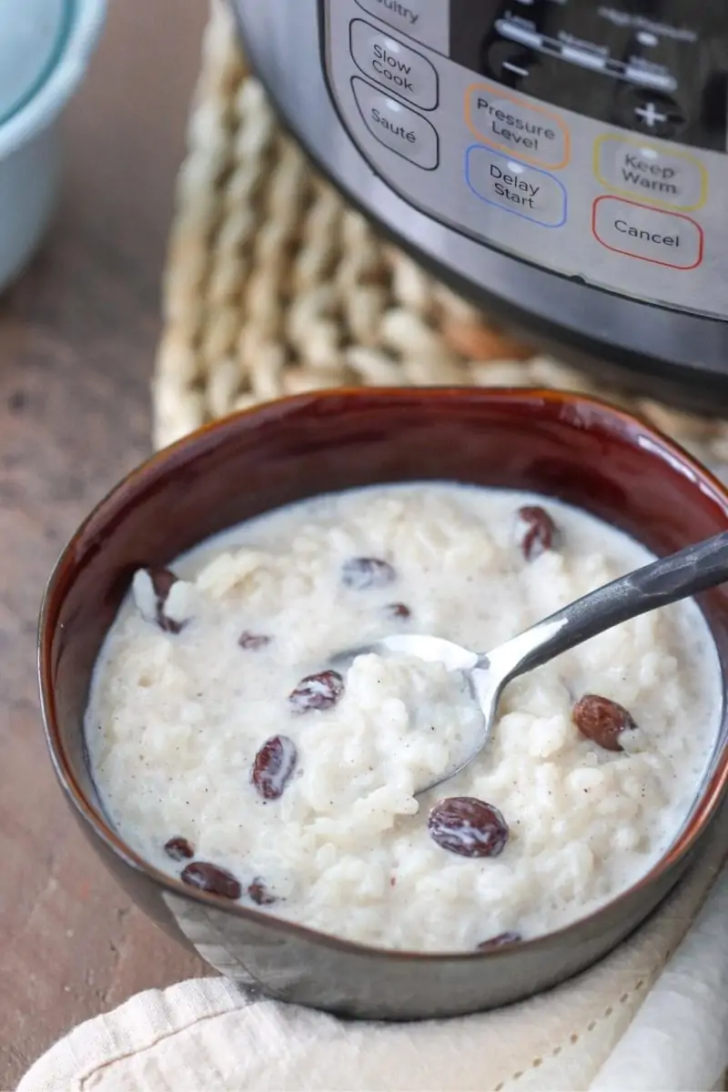 Instant Pot Rice Pudding 