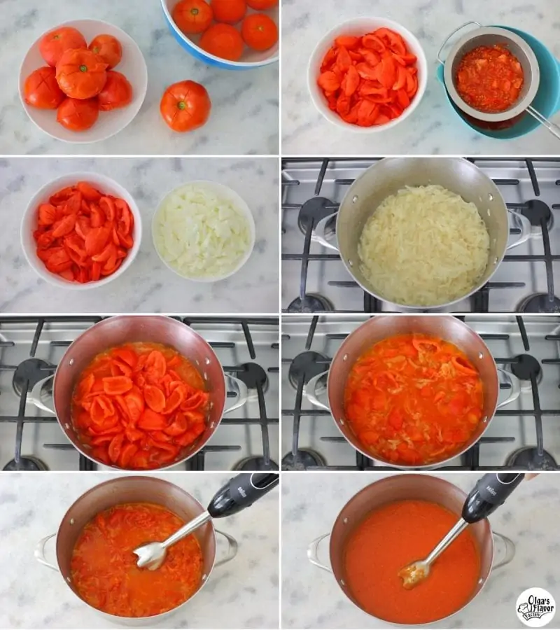 Easy Tomato Sauce tutorial using fresh tomatoes and onions. 