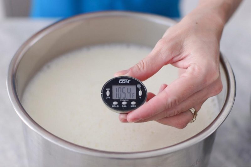 heating milk for homemade yogurt, temperature 105 degrees Fahrenheit