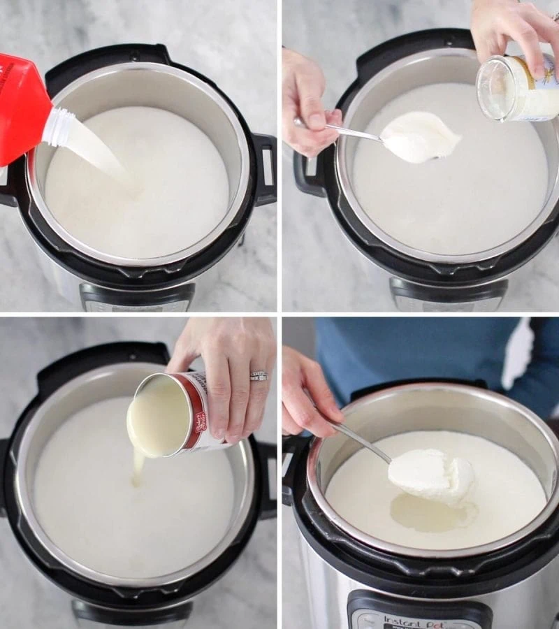 Homemade Yogurt in the Instant Pot (Cold Start Method) - Olga's Flavor  Factory