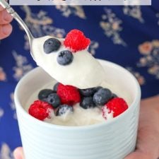 Instant Pot Yogurt - Cold Start & Lactose Free — Mommy's Kitchen