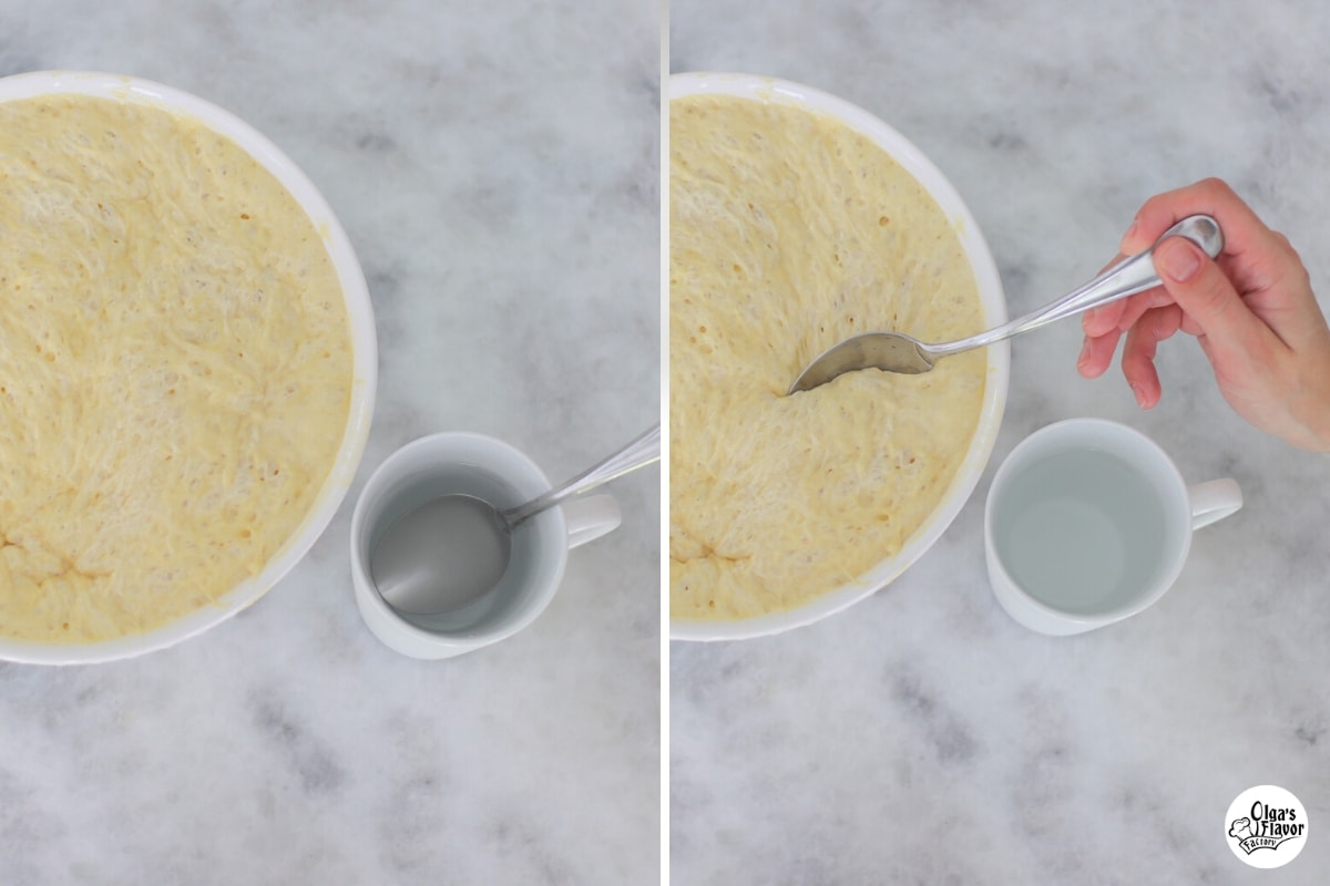 HowtocookYeastPancakes Olga's Flavor Factory
