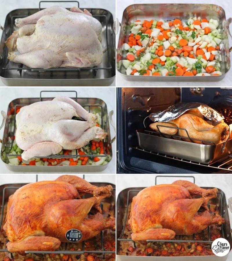 How to roast a turkey tutorial - the easiest turkey recipe